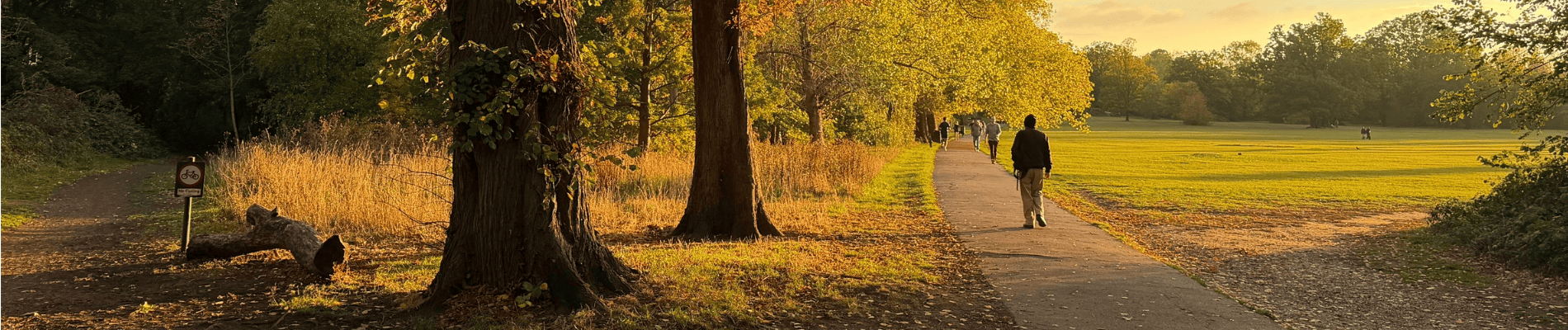 How To Keep Your Pet Safe This Autumn