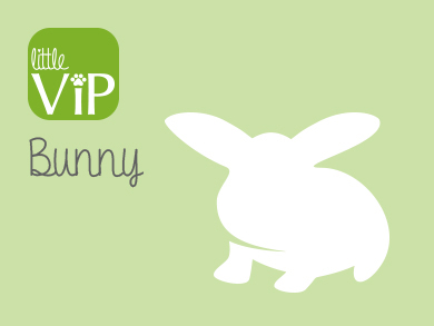 VIP Bunny