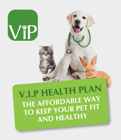 VIP Health Plan