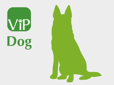 VIP Dog