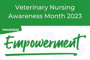 Veterinary Nursing Awareness Month at Animal Ark Vets