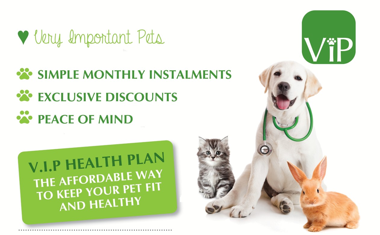 VIP Animal Ark Vets
