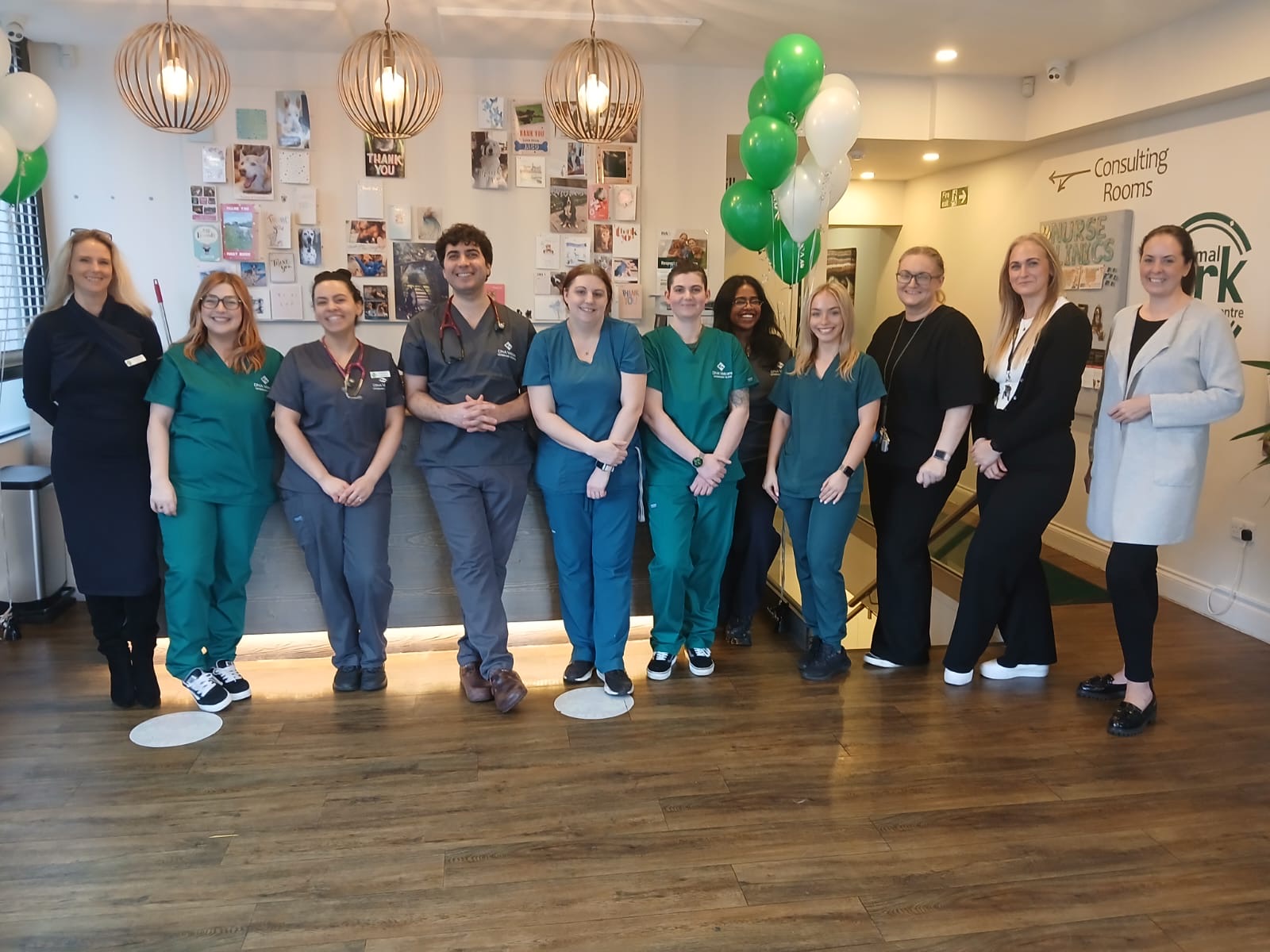 Animal Ark Vets Team