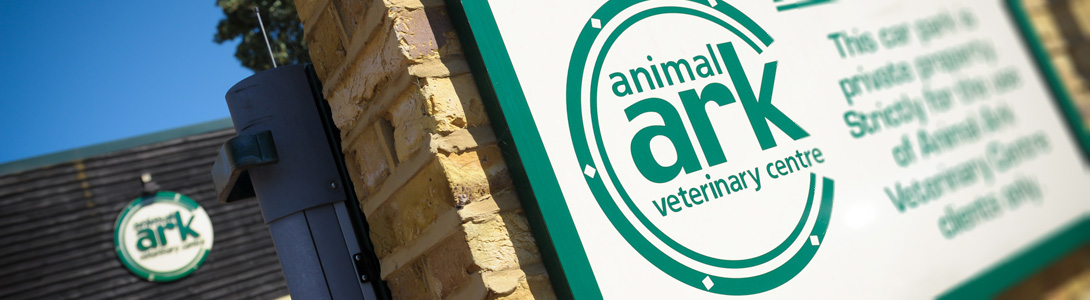 Animal Ark Vets Job Application Form - Page 1