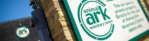 An Exciting New Chapter for Animal Ark