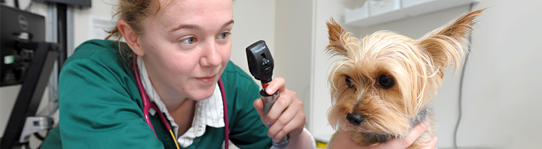 Book an Appointment with Animal Ark Vets in east London