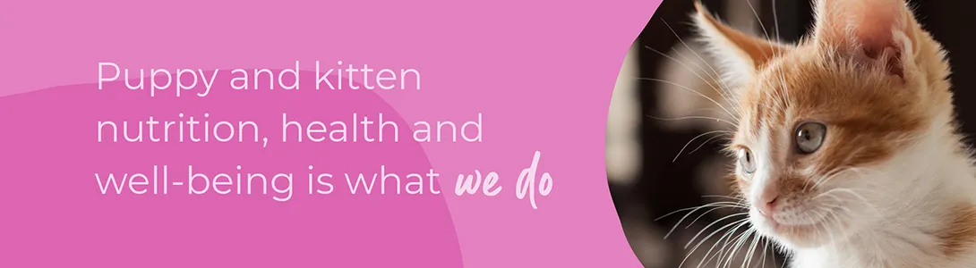 Start of Life for Your Puppy or Kitten