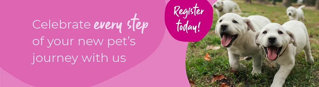 Start of Life for Your Puppy or Kitten