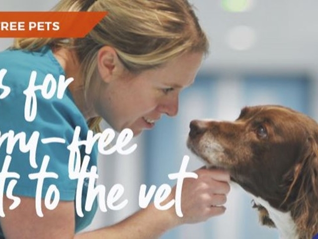Tips for worry-free visits to the vet