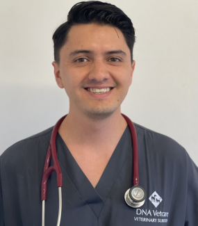 Luis Velasco Ramirez MRCVS